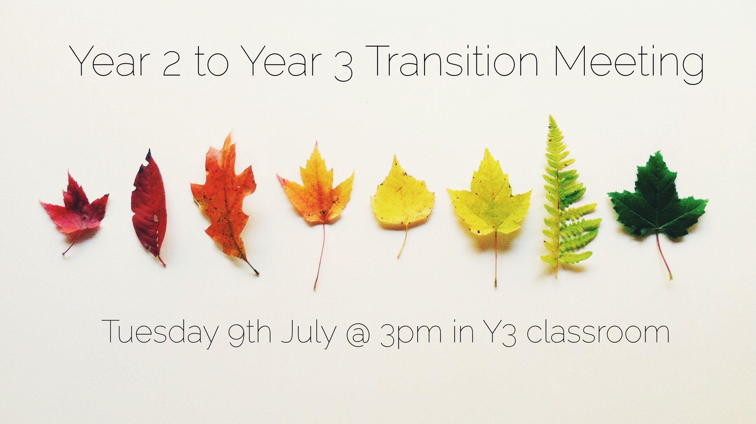 Year 2 to Year 3 Transition Meeting